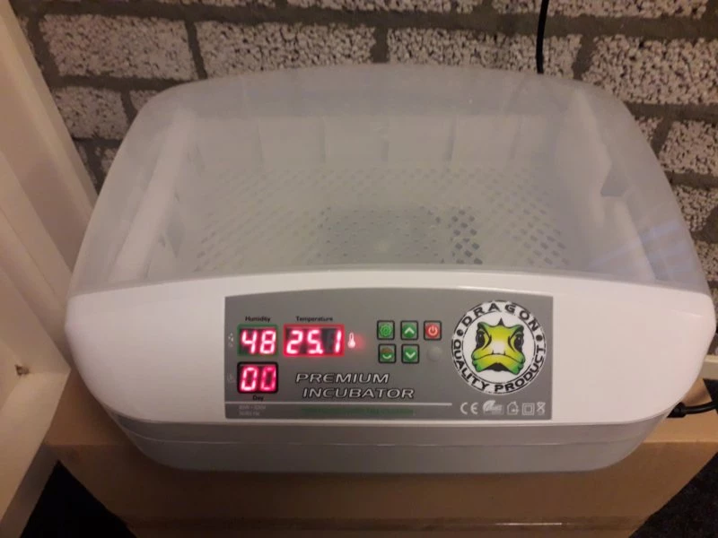 dragon-premium-incubator