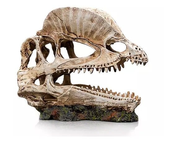 Socle dinosaure 2 - 19 X 9 X 14 CM