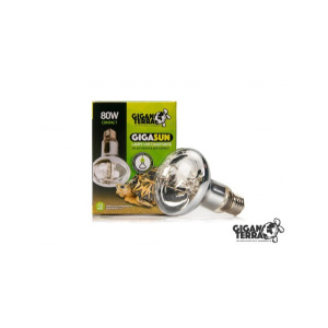 gigasun-80w-compact 2