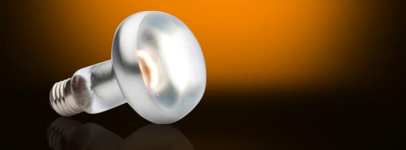 intense_basking_spot