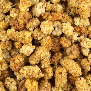 dried white mulberry fruits closeup food background texture