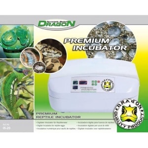 Dragon-premium-incubator-Voor-6-krekelbakjes