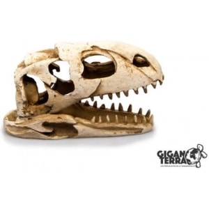 Giganterra-Kraandinosaurus