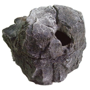 dragon-wetbox-lava-kopen