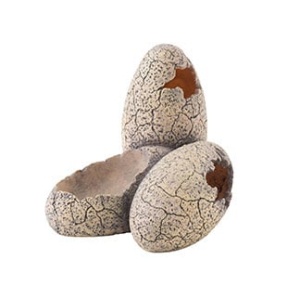 exoterradinosaureggssmall