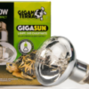 giganterra-80-watt-mini