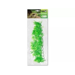 giganterrabamboolarge