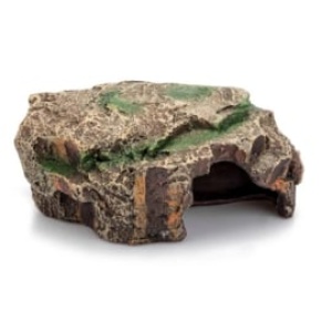 giganterragrotforest