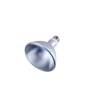 mega-ray-hid-lampen-scaled