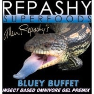 repashycrestedgeckoblueybuffet