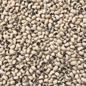 black_eye_bean