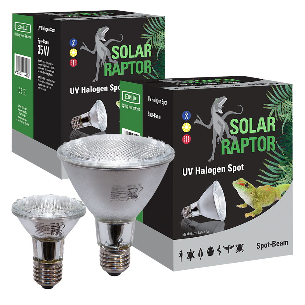 solar raptor halogen spot